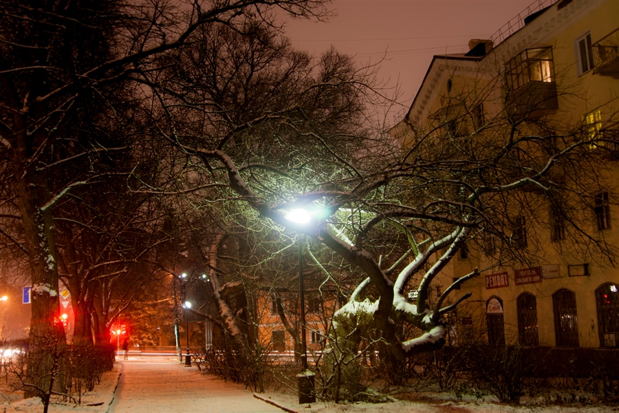 Фото жизнь