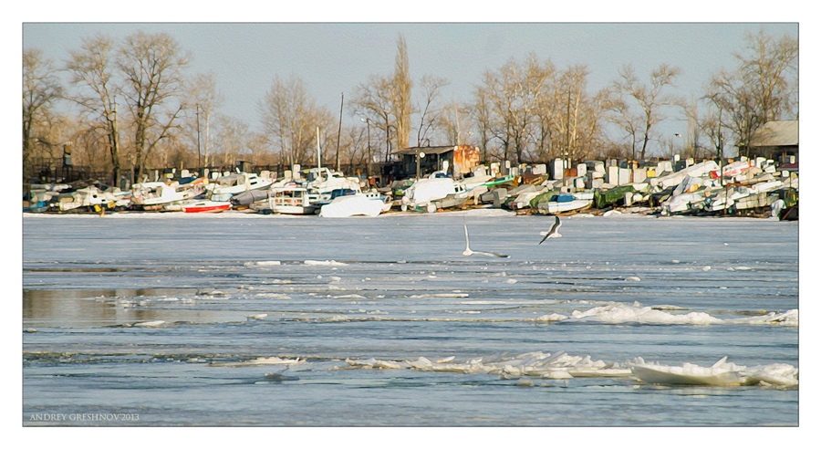 Фото жизнь