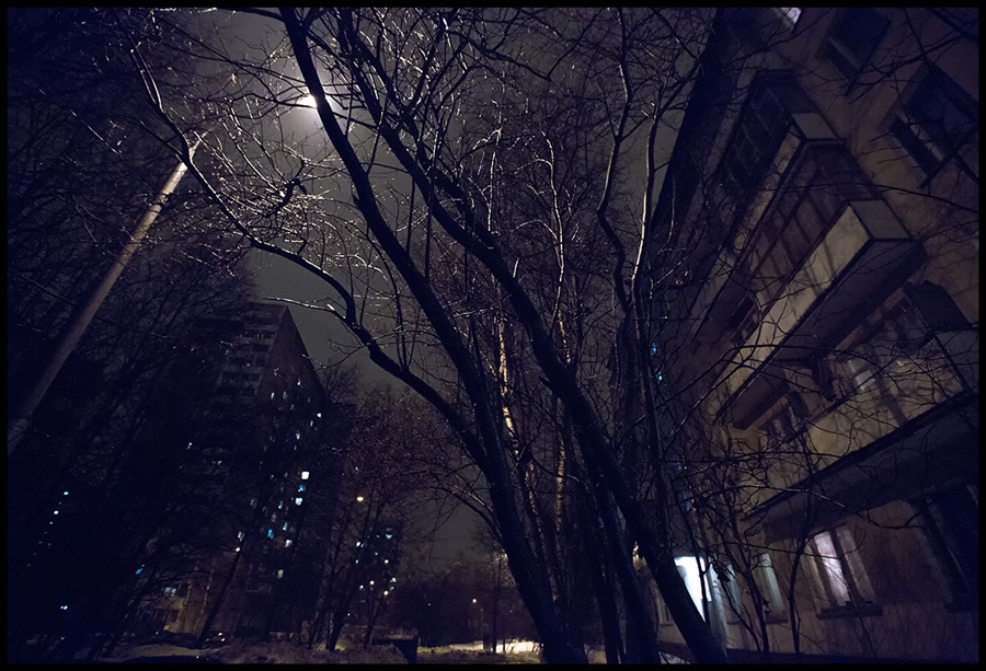 Фото жизнь