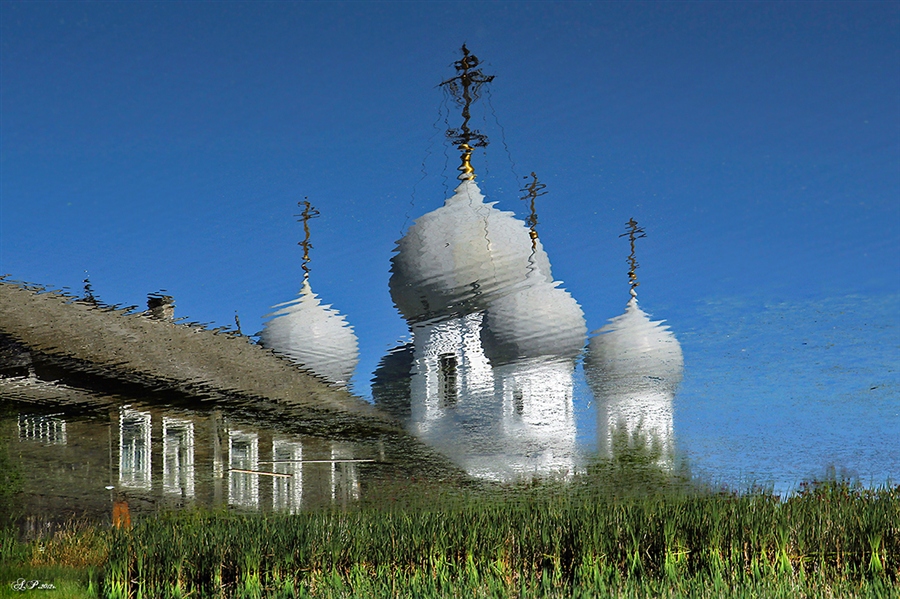 Фото жизнь