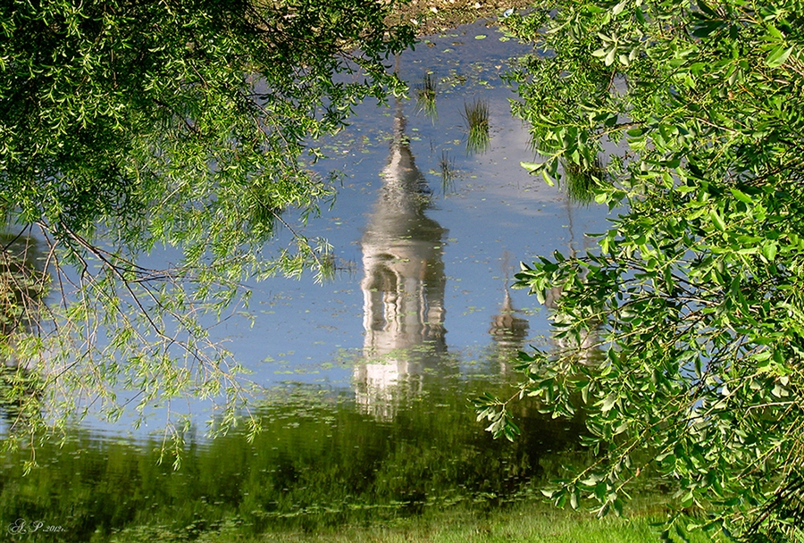 Фото жизнь