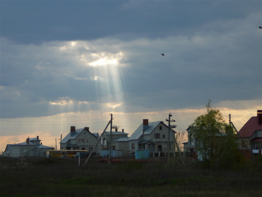Фото жизнь