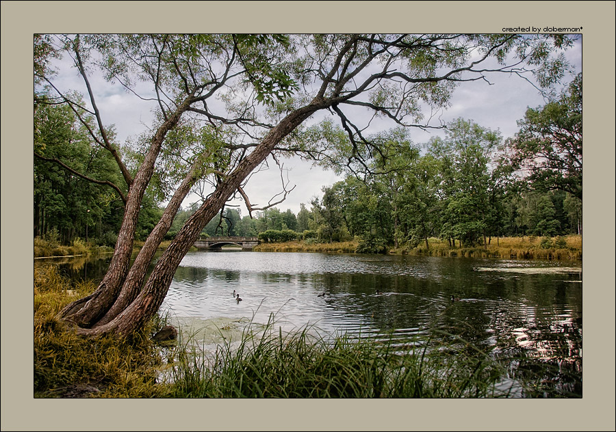 Фото жизнь (light) - Денис Богомолов - Landscapes - из Пушкина...