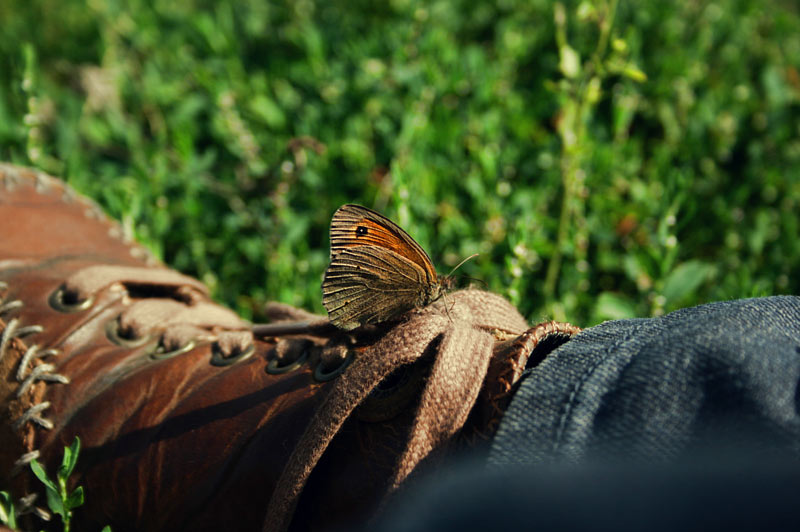 Фото жизнь (light) - Ve4naya - корневой каталог - примостилась...