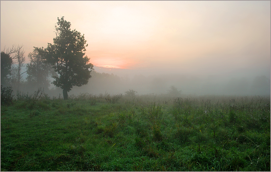Фото жизнь (light) - Михаил Филиппов  - Старое русло древней реки - ***