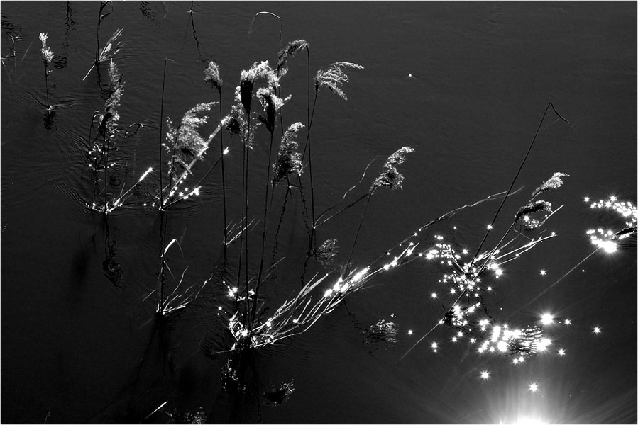 Фото жизнь (light) - Павел Преснов - Пейзаж - релакс