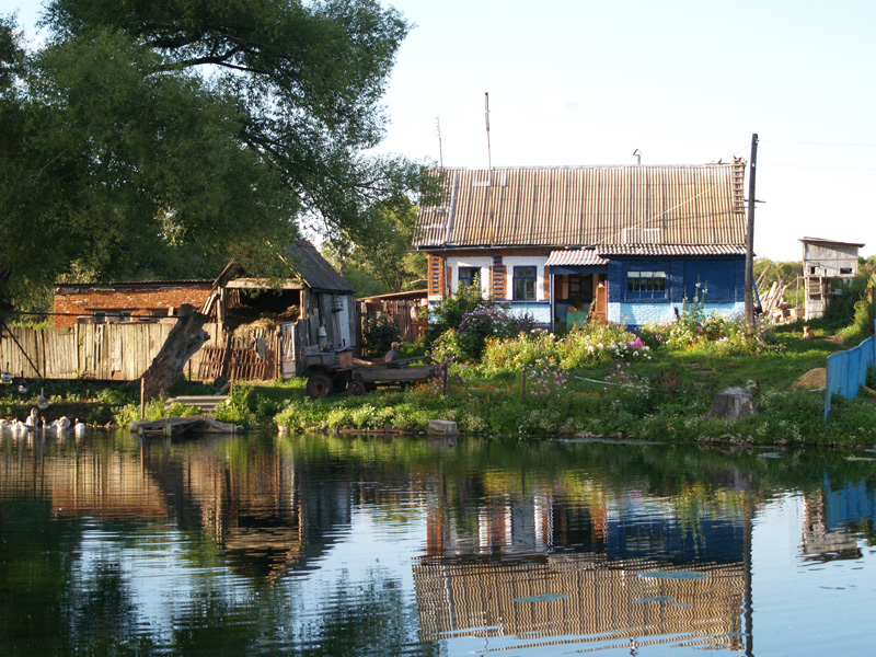 Фото жизнь