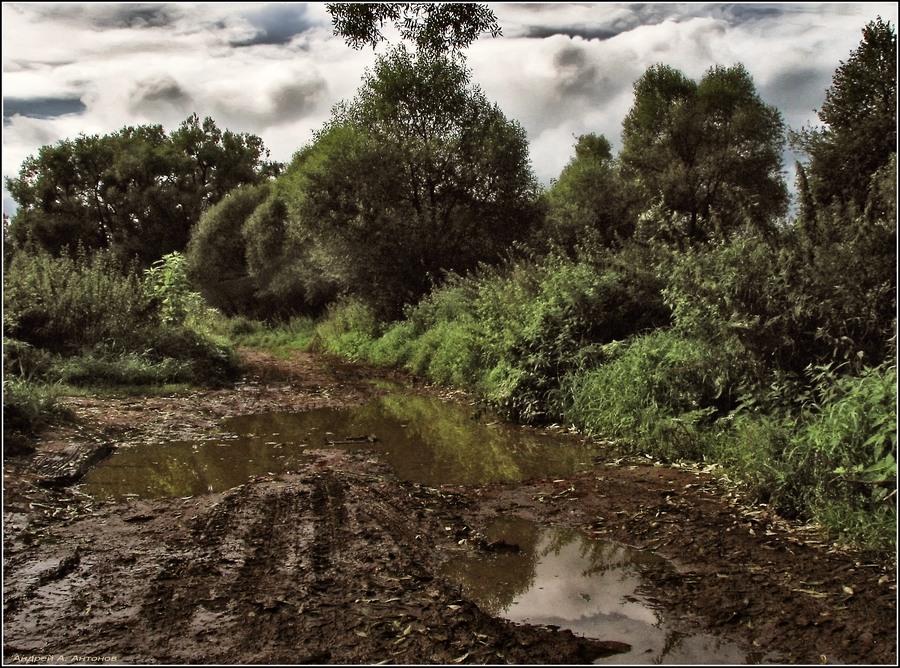 Фото жизнь