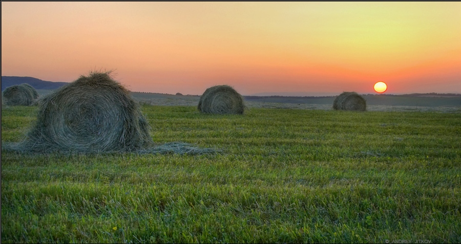 Фото жизнь