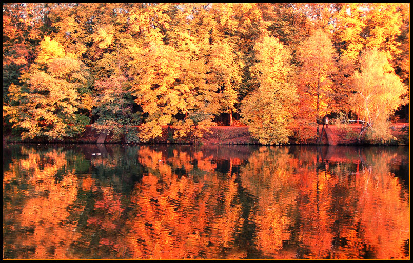 Фото жизнь (light) - ASSOL - корневой каталог - *** Когда Осень Против Одиночества...... ***