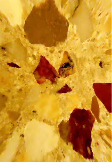 Фото жизнь (light) - Травицкий Александр - корневой каталог - Портрет осени