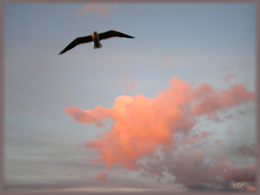 Фото жизнь (light) - katya_ra - Соловки - Витая в облаках...