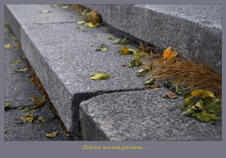 Фото жизнь - OVG - корневой каталог - Осень наступает