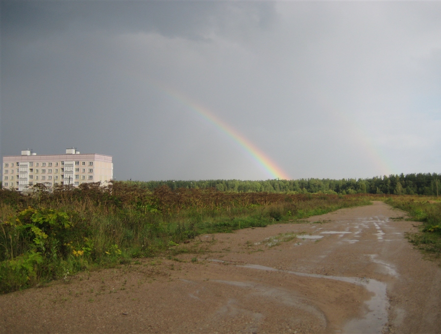 Фото жизнь
