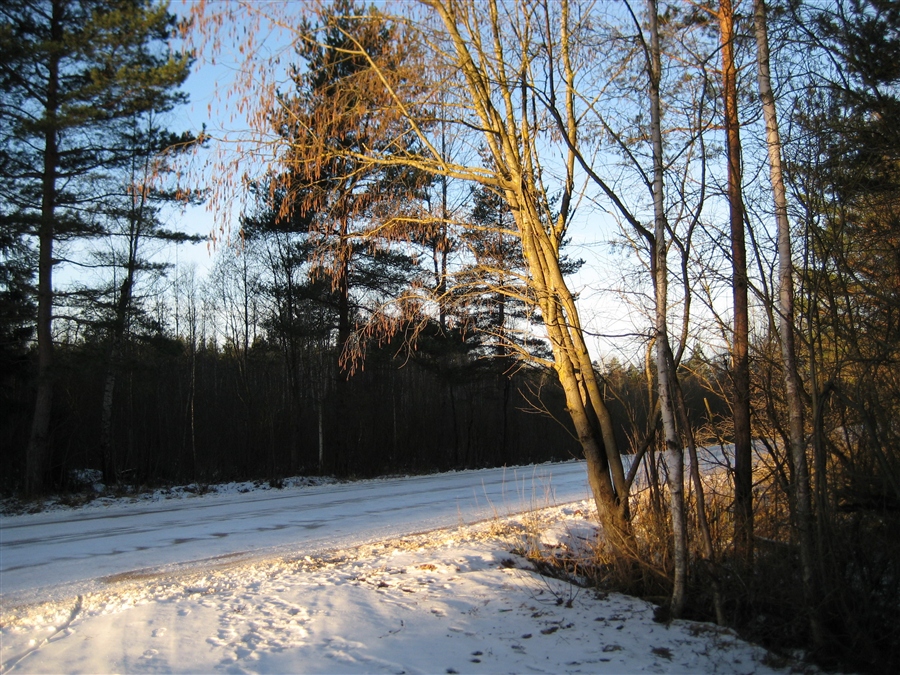 Фото жизнь