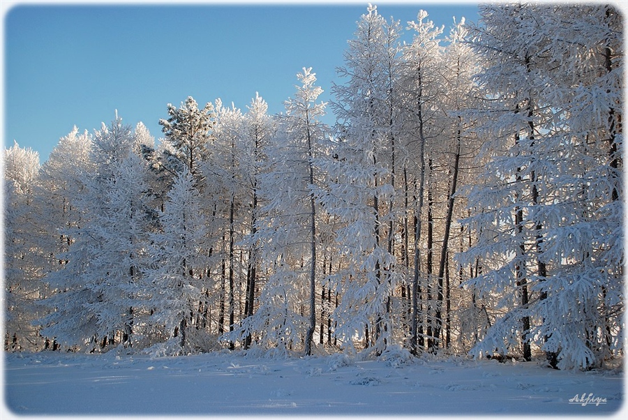 Фото жизнь (light) - Alfiya - зимние пейзажи.. - ..зимушка -зима...