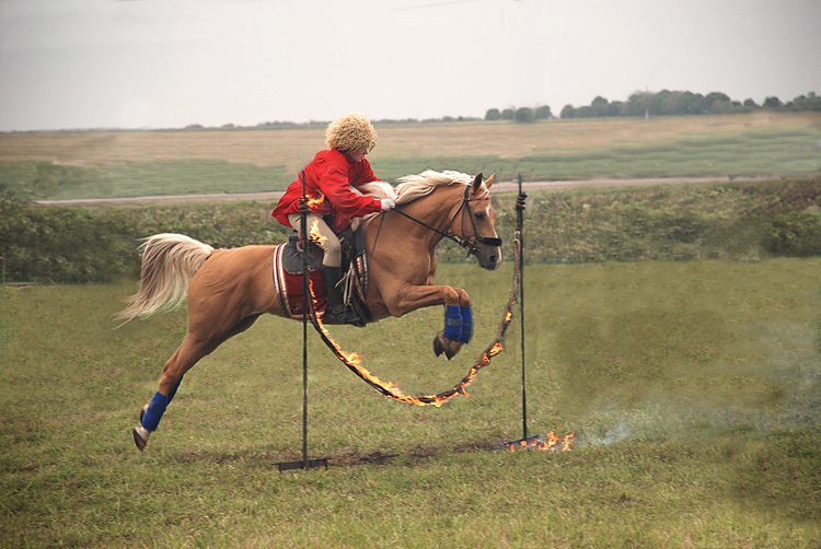 Фото жизнь (light) - Дмитрий Карасев - корневой каталог - Только лошадь казаку во степи жена...