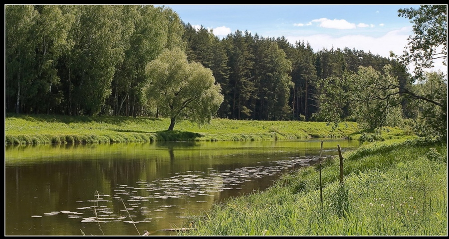 Фото жизнь