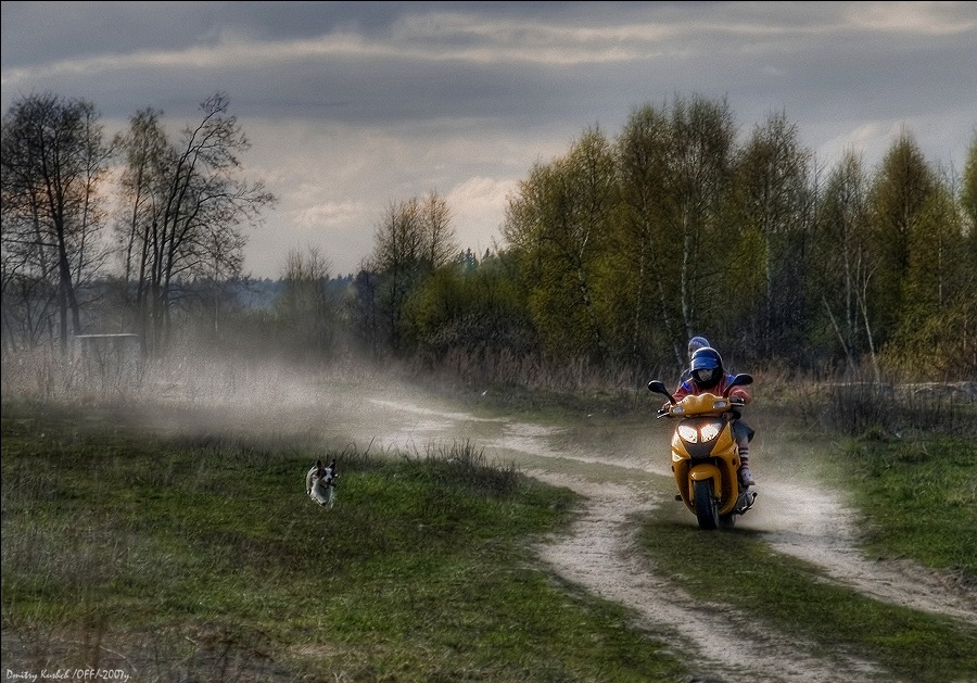 Фото жизнь