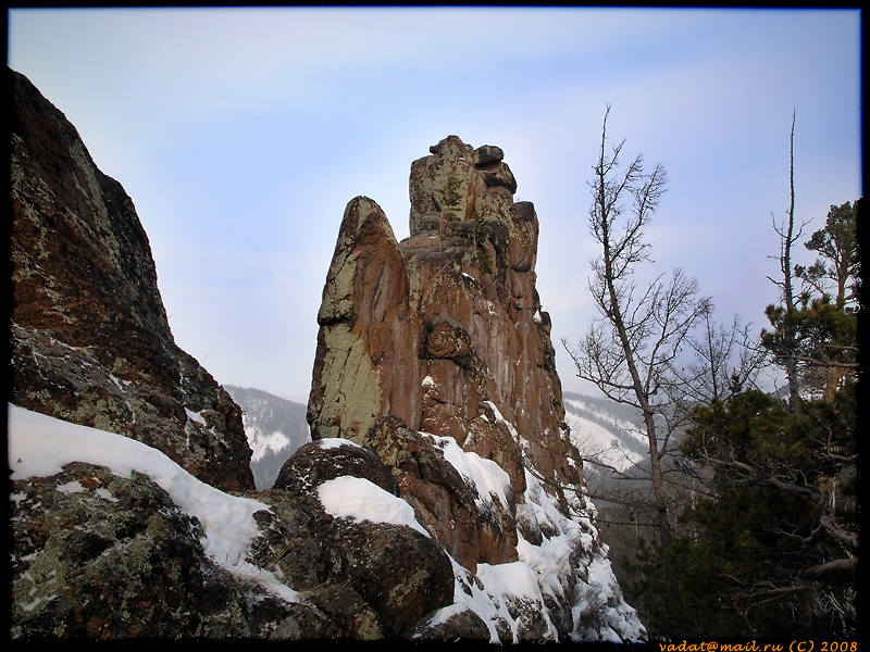 Фото жизнь