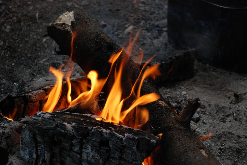Фото жизнь (light) - Сергей Лазуткин - Разное - Костёр.