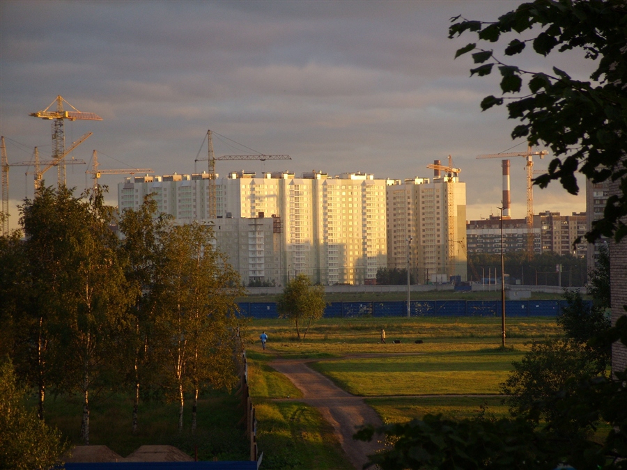 Фото жизнь