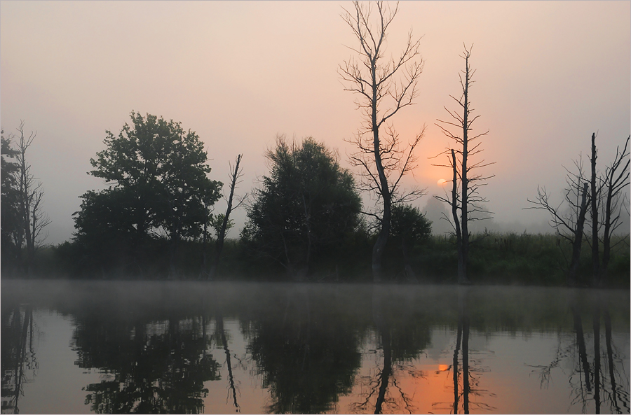 Фото жизнь (light) - Михаил Филиппов  - Старое русло древней реки - Призрачный рассвет