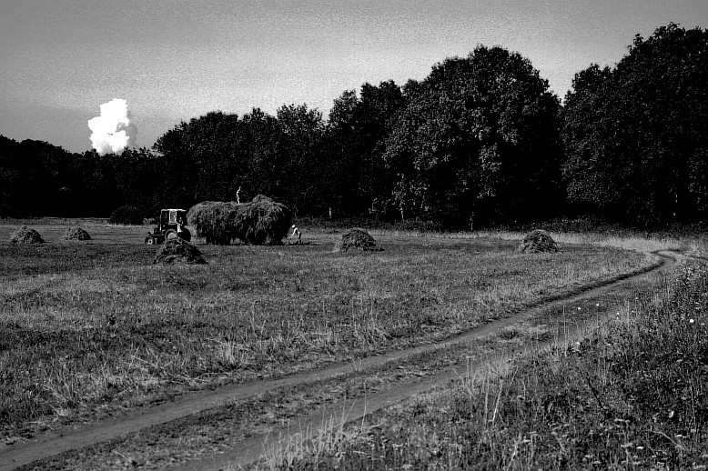 Фото жизнь (light) - Chel - Жанр - люди - ... - 1948год...