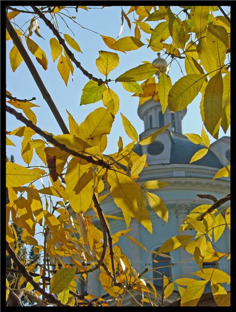Фото жизнь (light) - Sdoba - корневой каталог - Московская осень