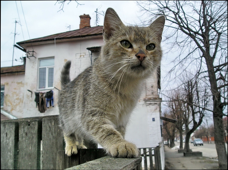 Фото жизнь