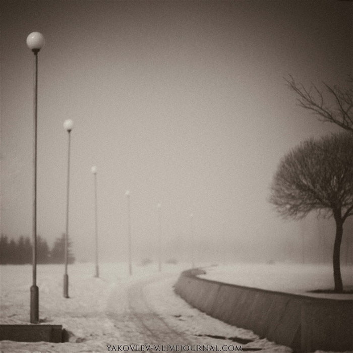 Фото жизнь