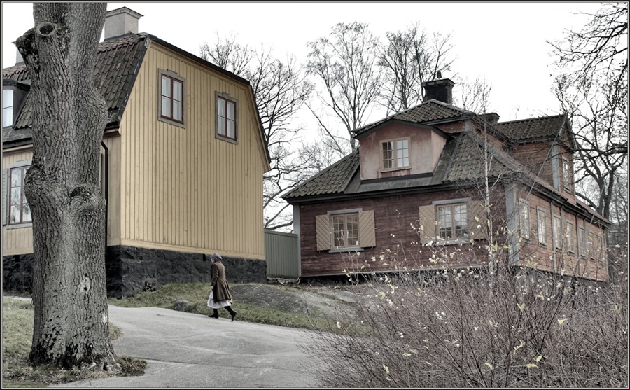 Фото жизнь