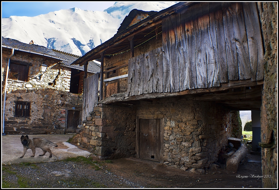 Фото жизнь