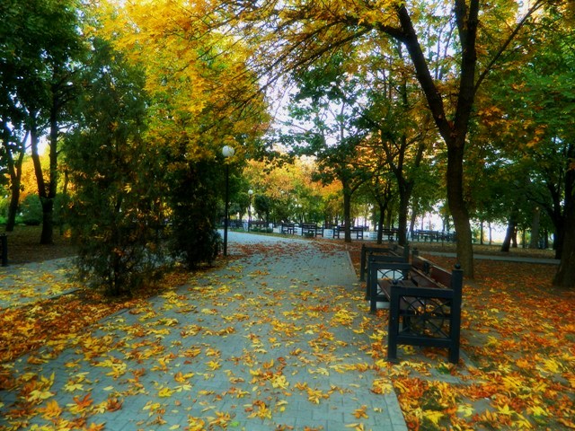 Фото жизнь (light) - OKSANA_KOSATENKO - корневой каталог - Осень в Таганроге
