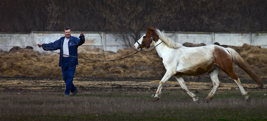 Фото жизнь