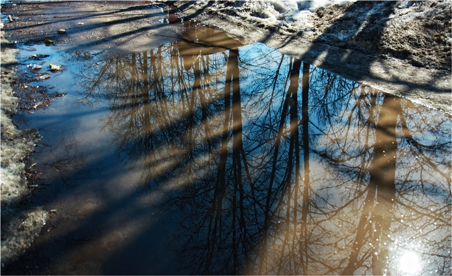 Фото жизнь