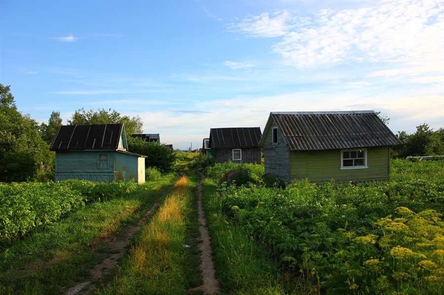 Фото жизнь