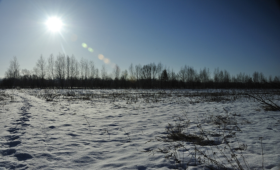 Фото жизнь (light) - mary-V - Пейзажи - Последние дни зимы.