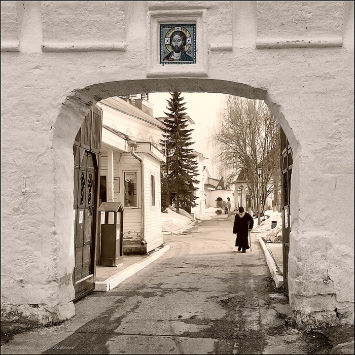 Фото жизнь