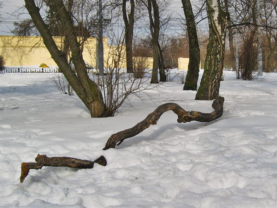Фото жизнь