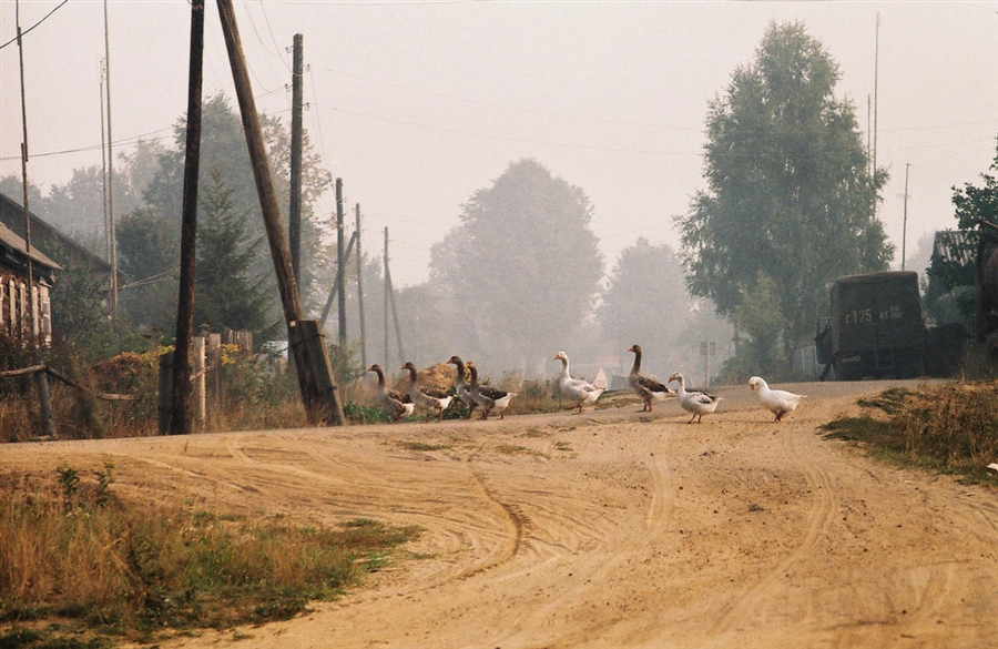 Фото жизнь