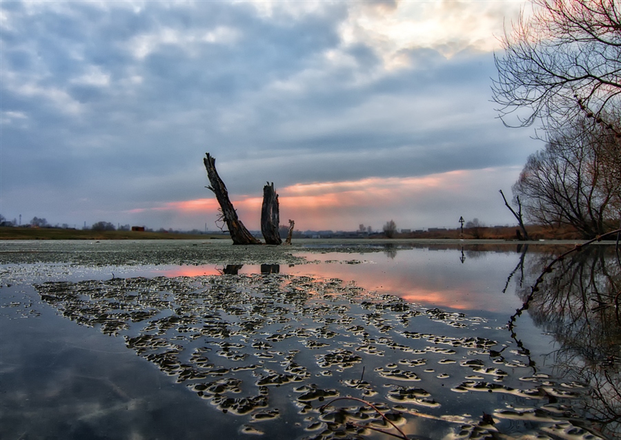 Фото жизнь