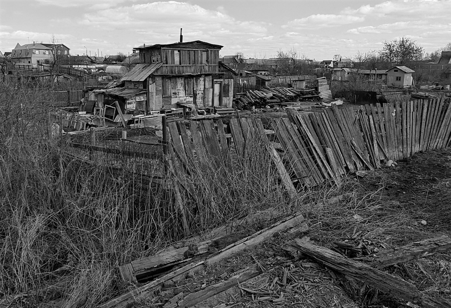 Фото жизнь