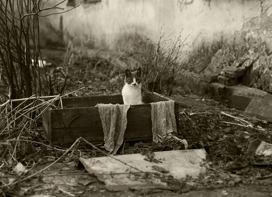 Фото жизнь