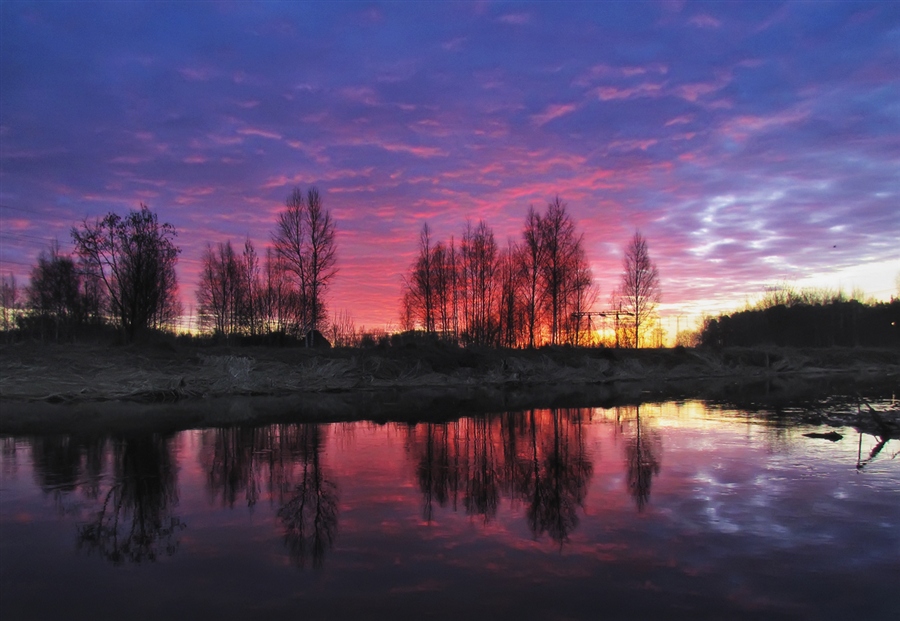 Фото жизнь