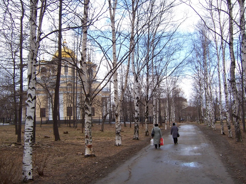 Фото жизнь