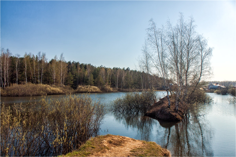 Фото жизнь