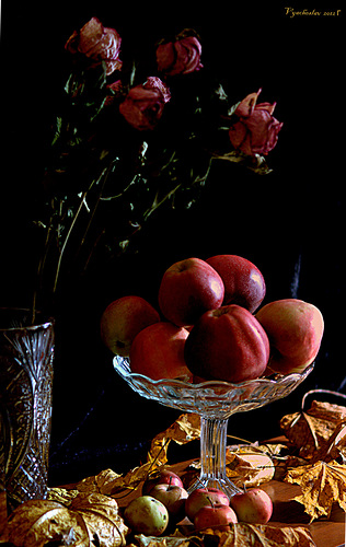 Фото жизнь (light) - Вячеслав Аксёненко - корневой каталог - Натюрморт  с  яблоками