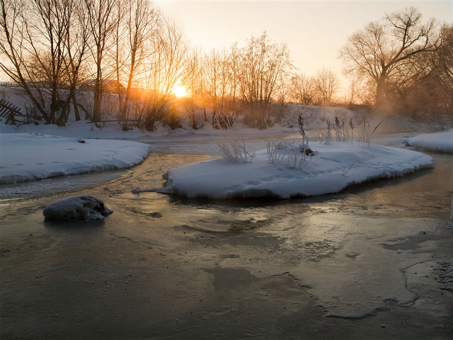 Фото жизнь