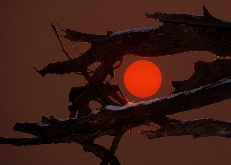 Фото жизнь - Альберт Беляев - корневой каталог - Холодное Солнце
